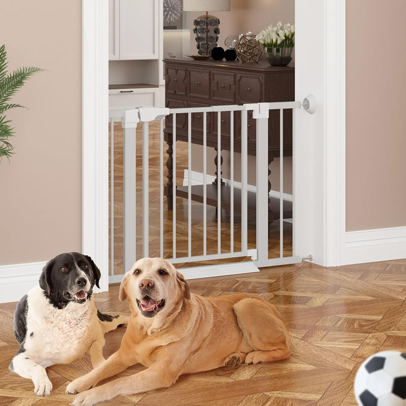 Free standing baby stair gate shop